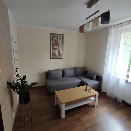 Obok Szczesliwej 7 Apartment Gliwice Bagian luar foto