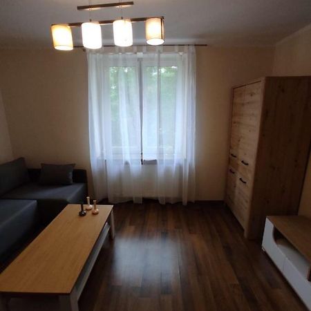 Obok Szczesliwej 7 Apartment Gliwice Bagian luar foto