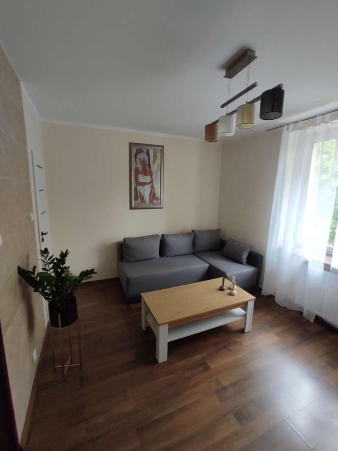 Obok Szczesliwej 7 Apartment Gliwice Bagian luar foto